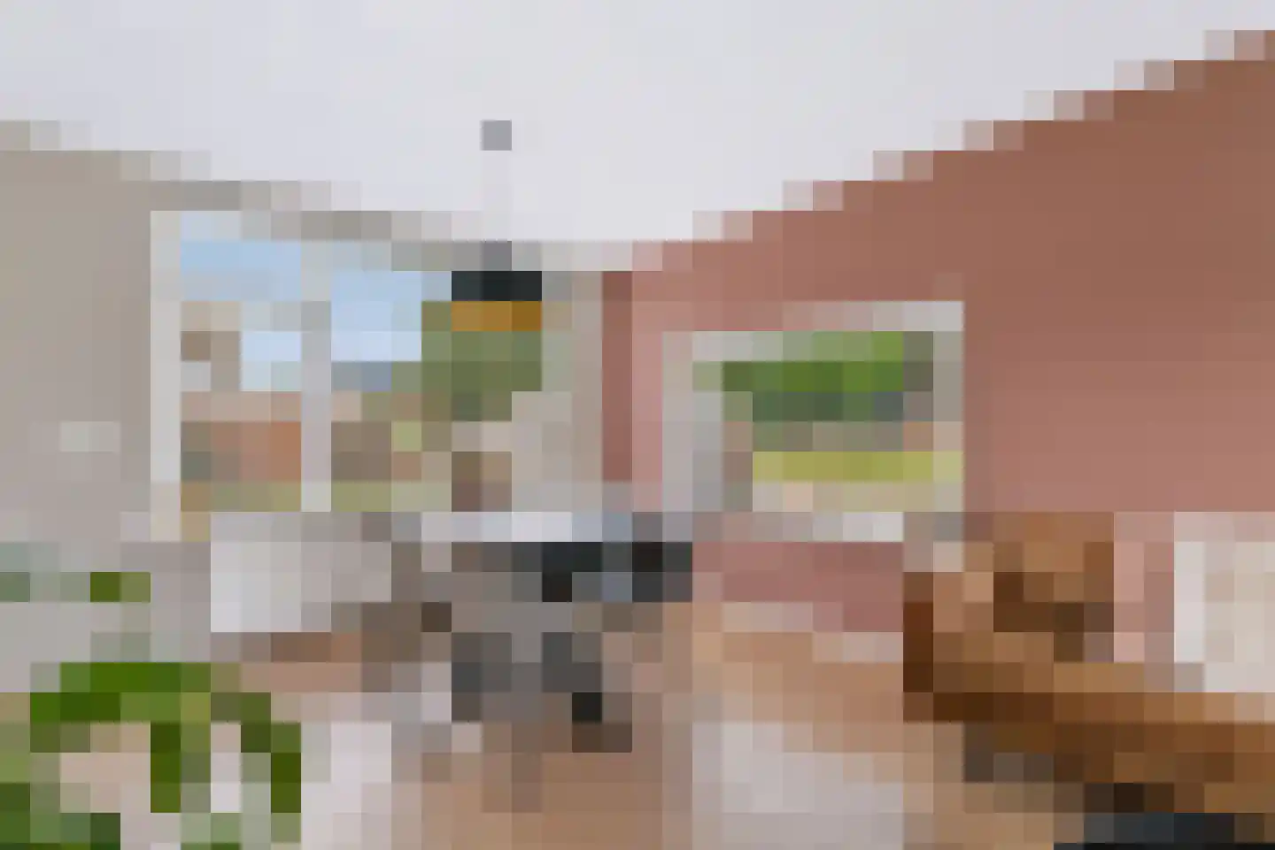Hertog Arnoudstraat 16 Lobith thumbnail 15