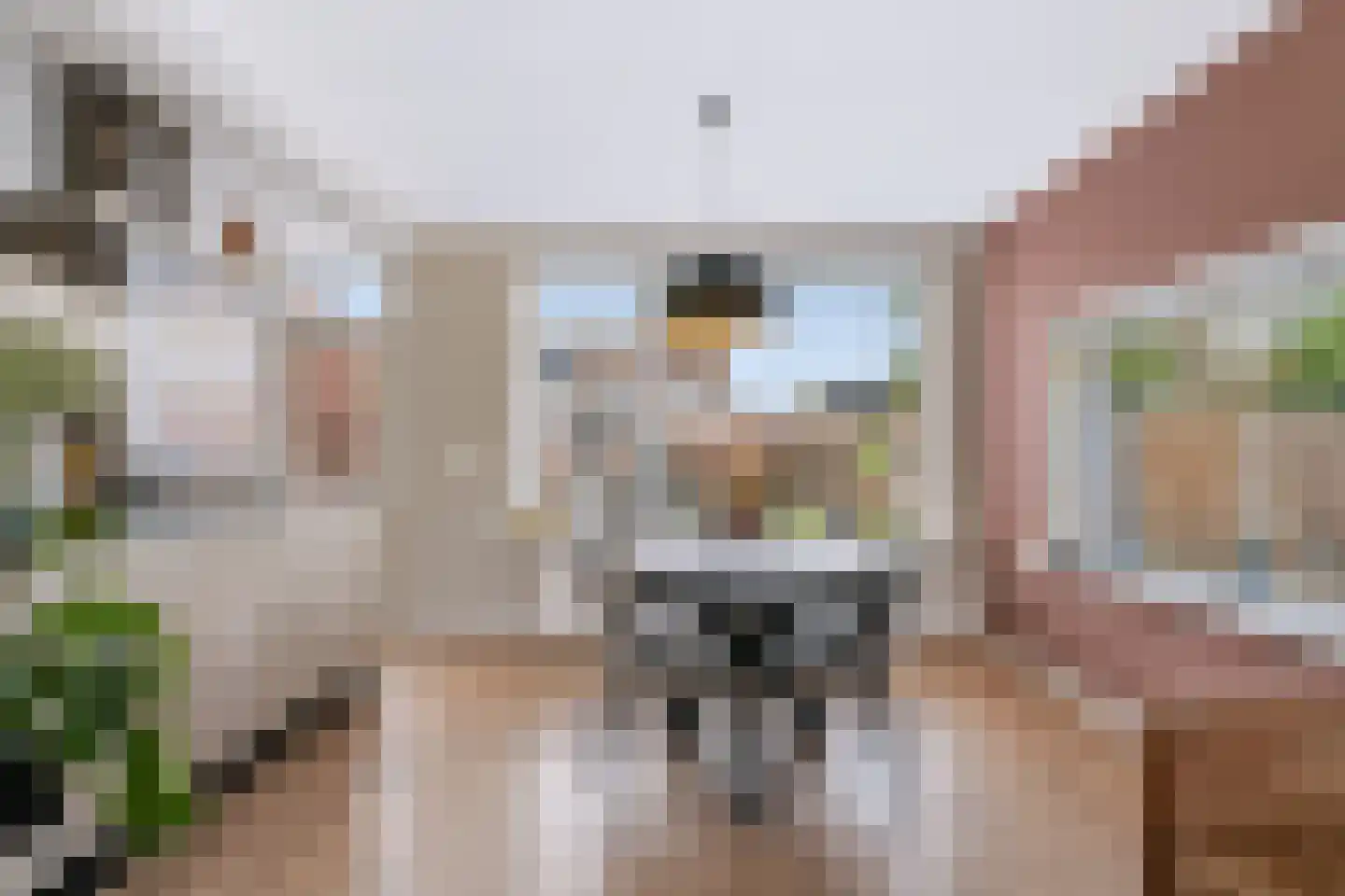 Hertog Arnoudstraat 16 Lobith thumbnail 16