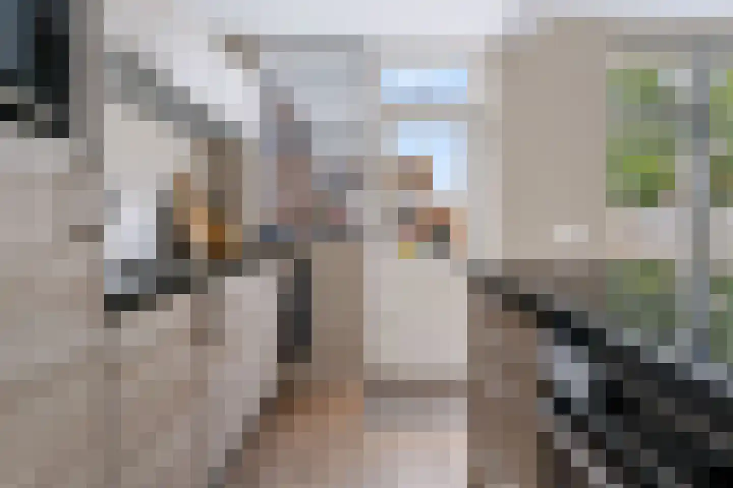 Hertog Arnoudstraat 16 Lobith thumbnail 22
