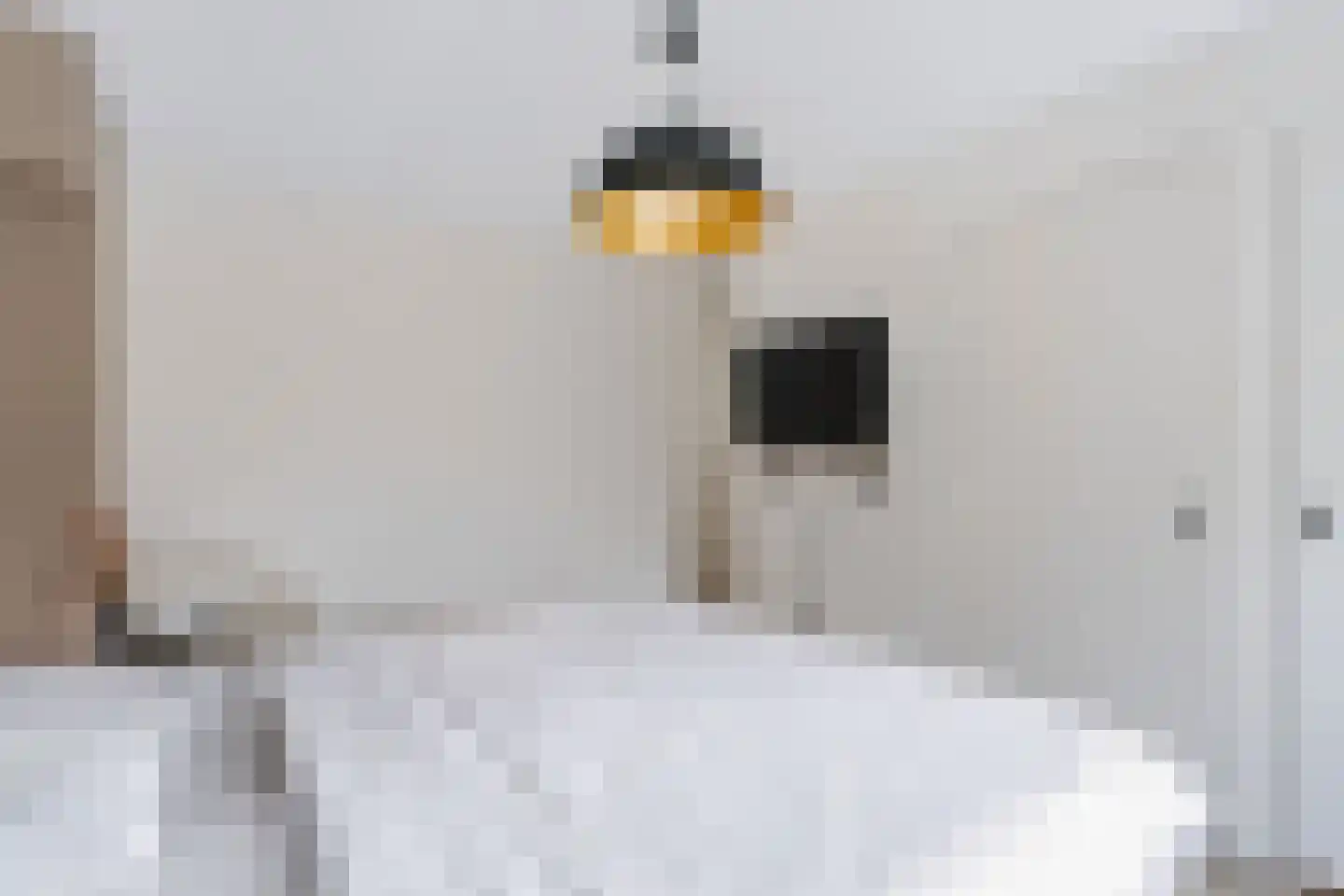 Hertog Arnoudstraat 16 Lobith thumbnail 28