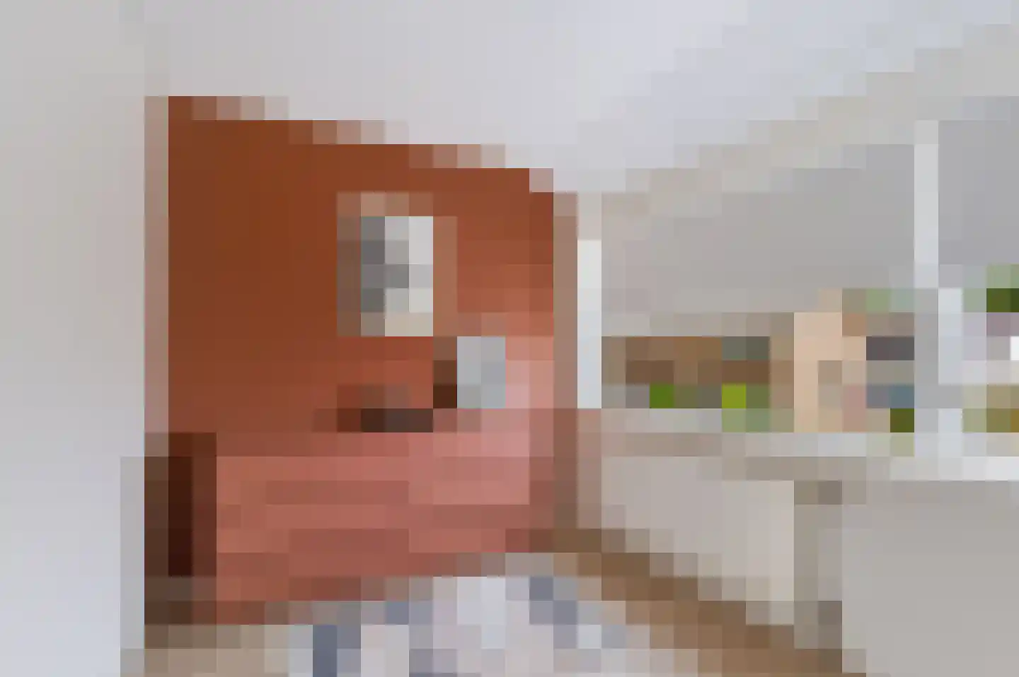 Hertog Arnoudstraat 16 Lobith thumbnail 30
