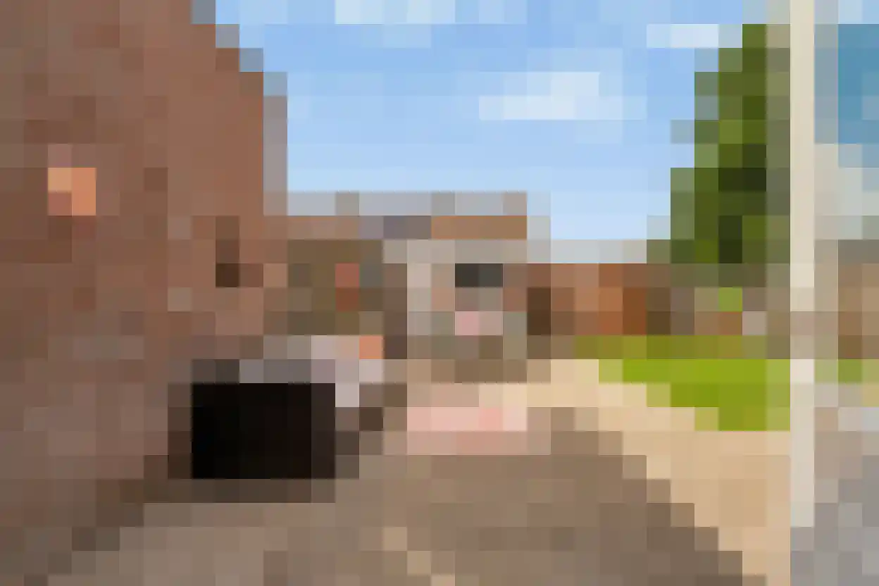 Hertog Arnoudstraat 16 Lobith thumbnail 39
