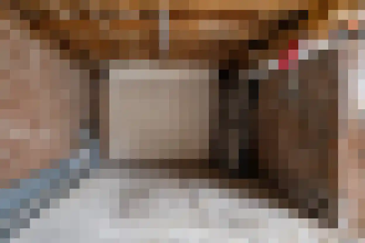 Hertog Arnoudstraat 16 Lobith thumbnail 45