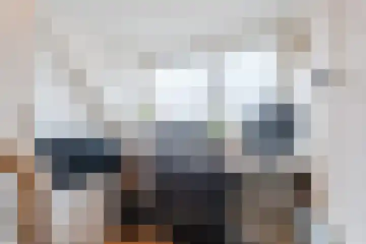 Hertog Arnoudstraat 16 Velp thumbnail 20