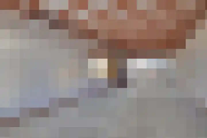 Hertog Arnoudstraat 22 Lobith thumbnail 7
