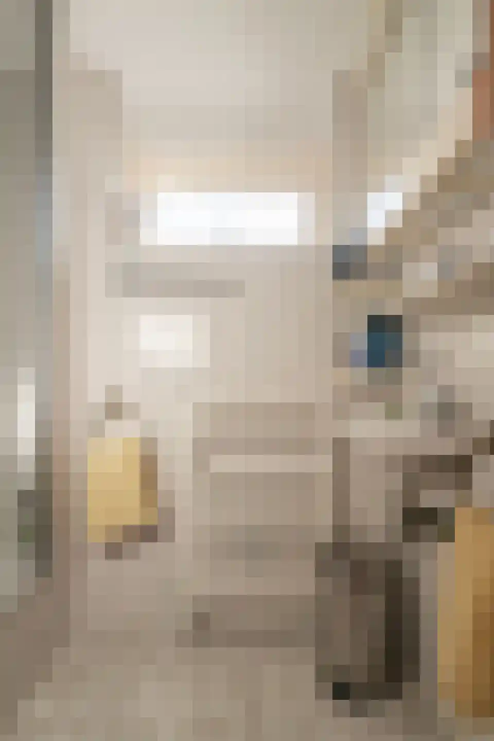 Hertog Arnoudstraat 28 Lobith thumbnail 16