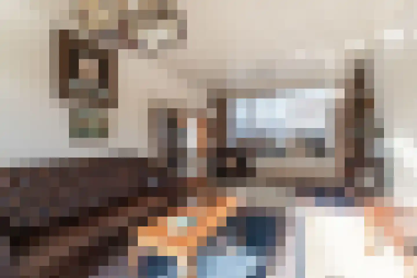 Hertog Arnoudstraat 28 Lobith thumbnail 24