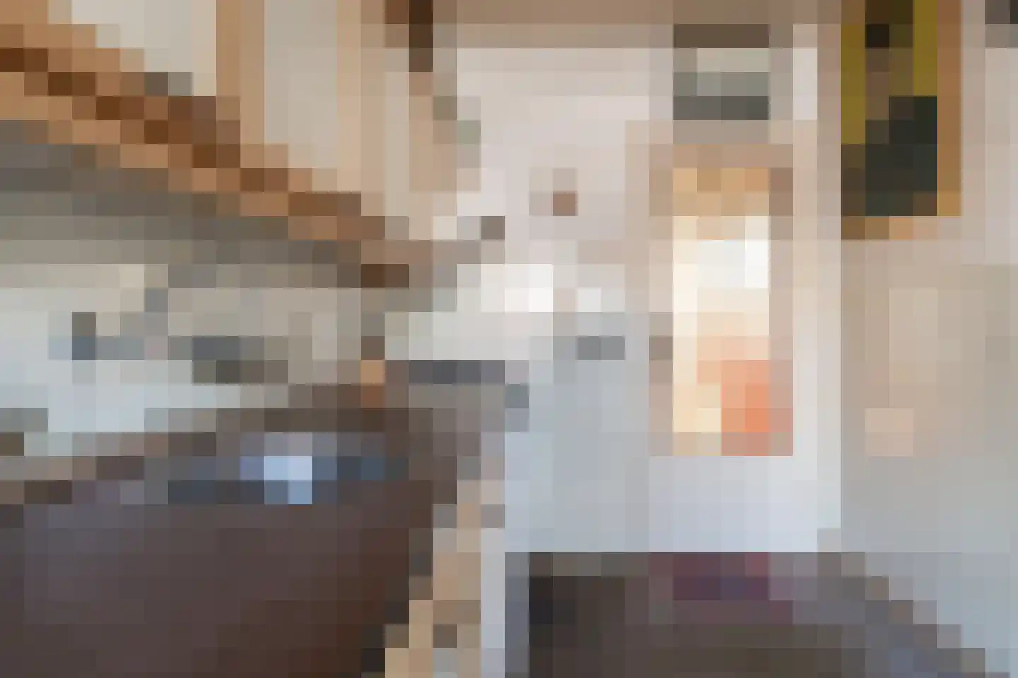 Hertog Arnoudstraat 28 Lobith thumbnail 29