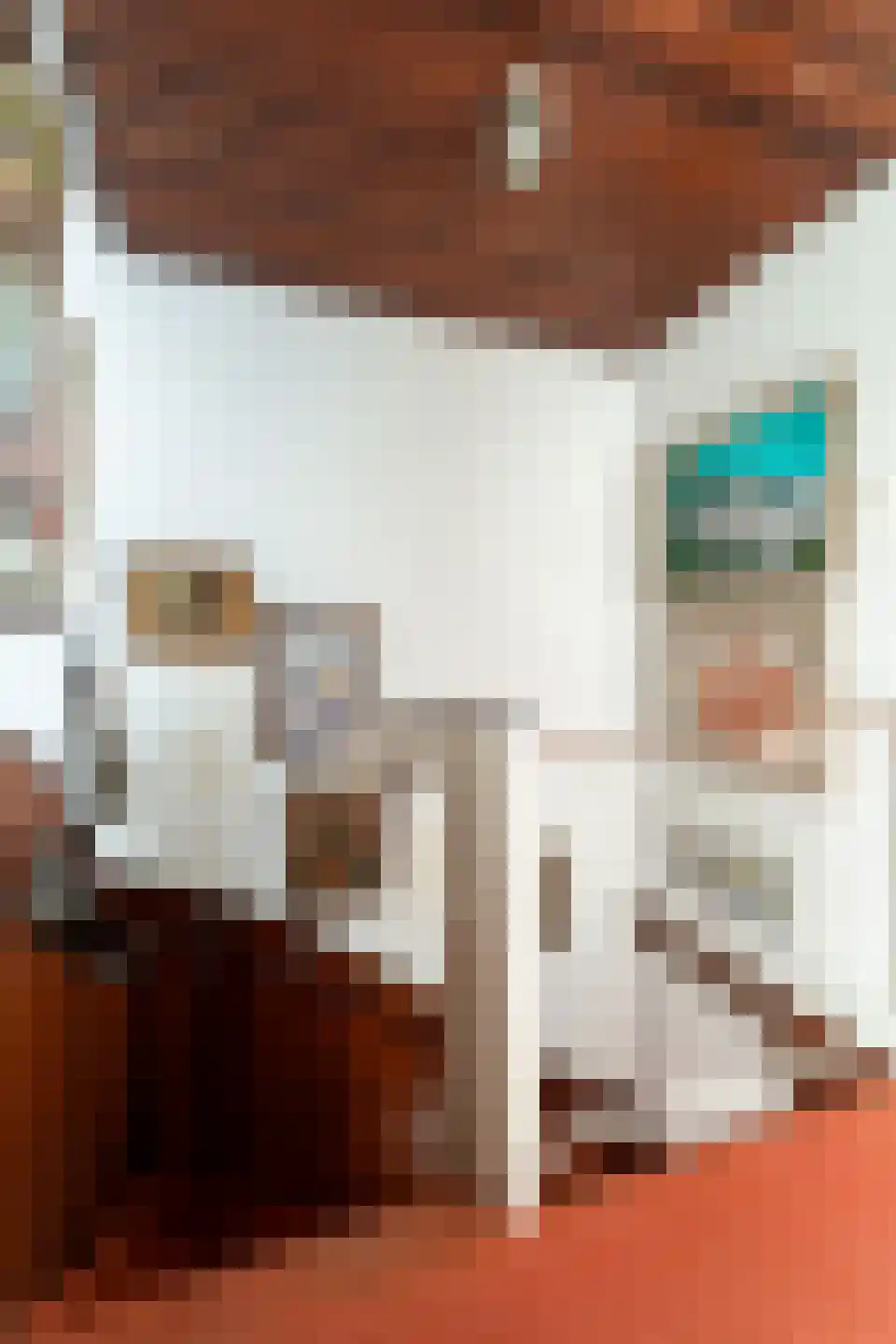 Hertog Arnoudstraat 28 Lobith thumbnail 47