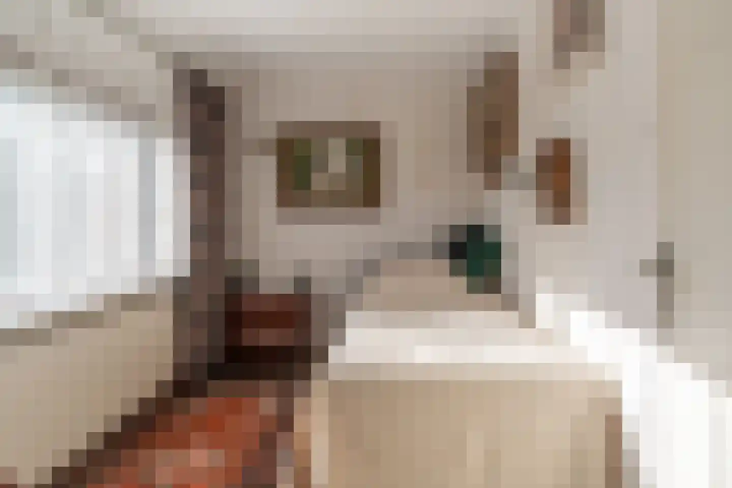 Hertog Arnoudstraat 28 Lobith thumbnail 49