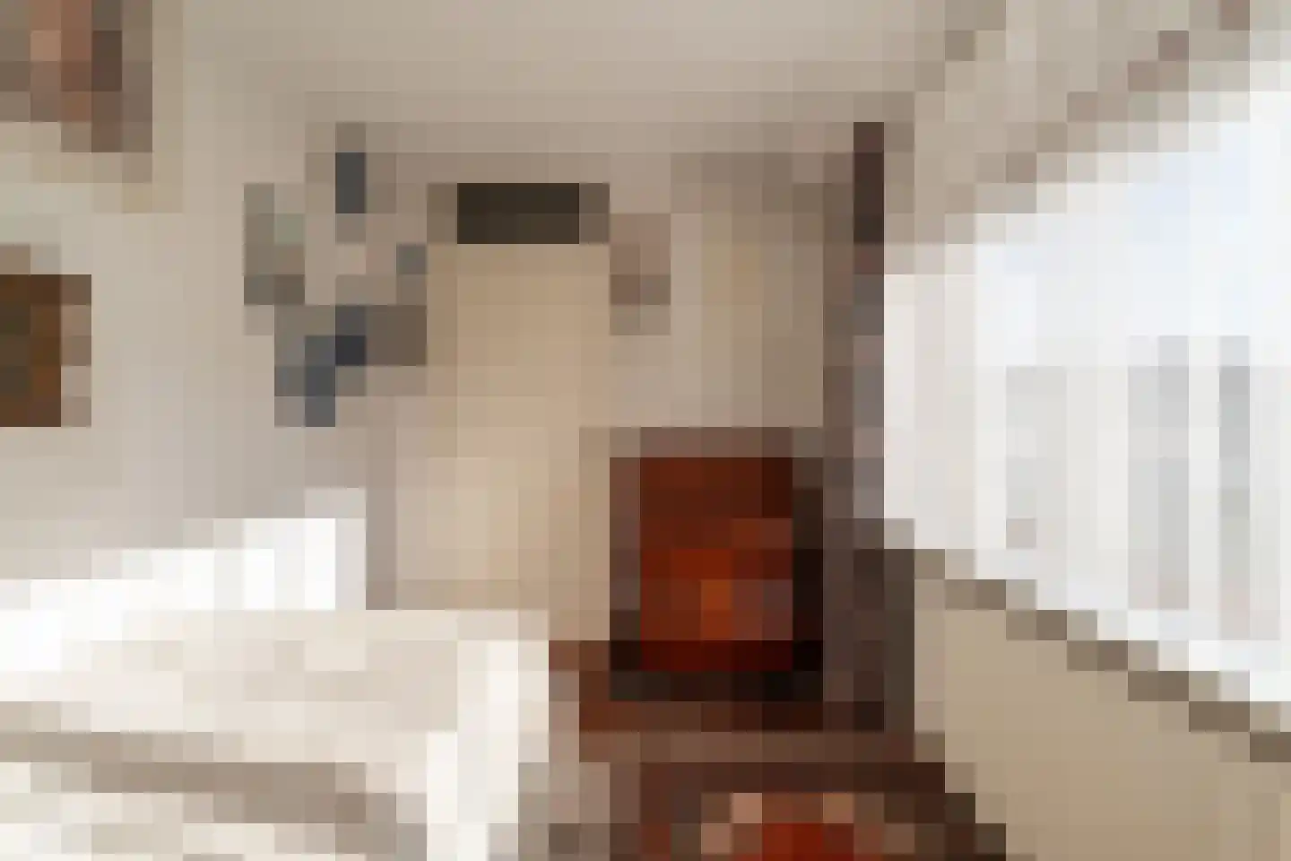 Hertog Arnoudstraat 28 Lobith thumbnail 51