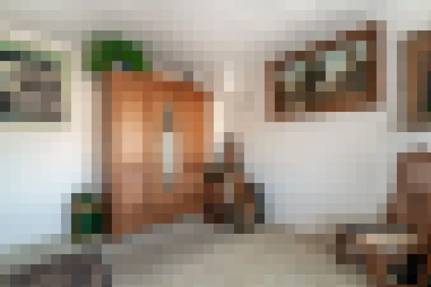 Hertog Arnoudstraat 28 Lobith thumbnail 57