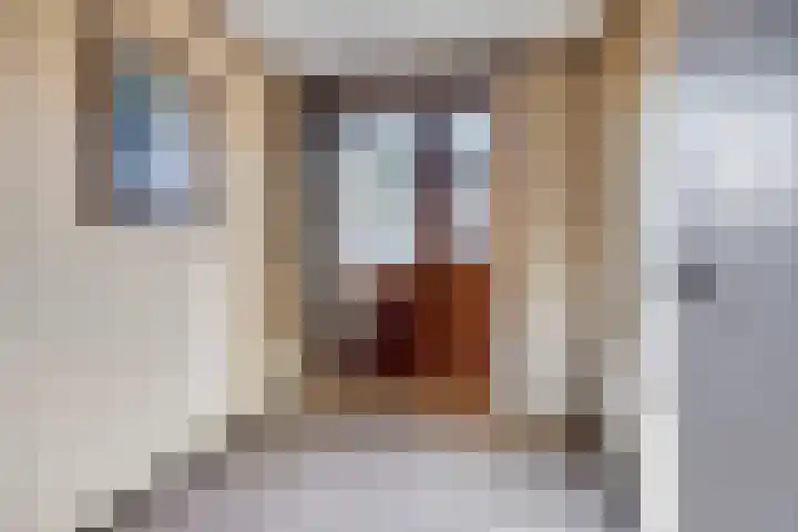 Hertog Eduardweg 3 't Harde thumbnail 22