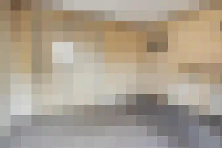 Hertog Eduardweg 3 't Harde thumbnail 24