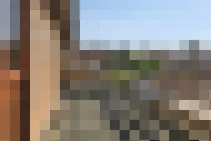 Hertog Eduardweg 3 't Harde thumbnail 25