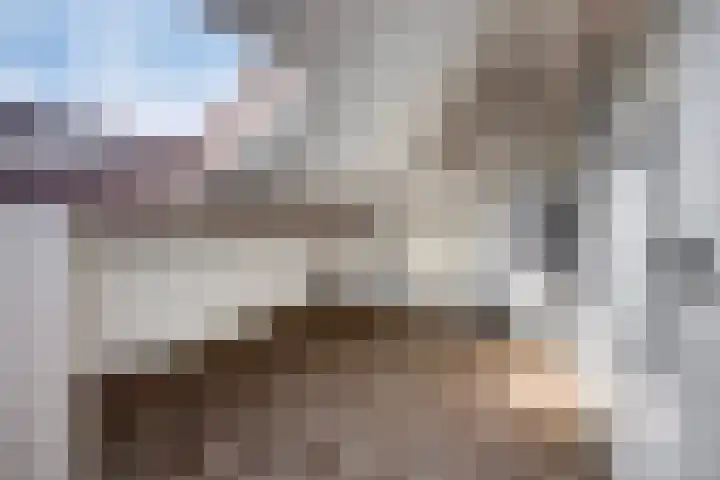 Hertog Eduardweg 3 't Harde thumbnail 29