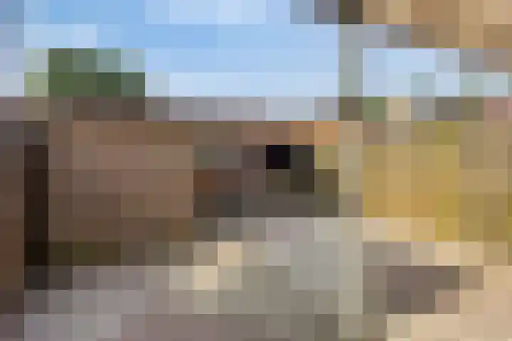 Hertog Eduardweg 3 't Harde thumbnail 30