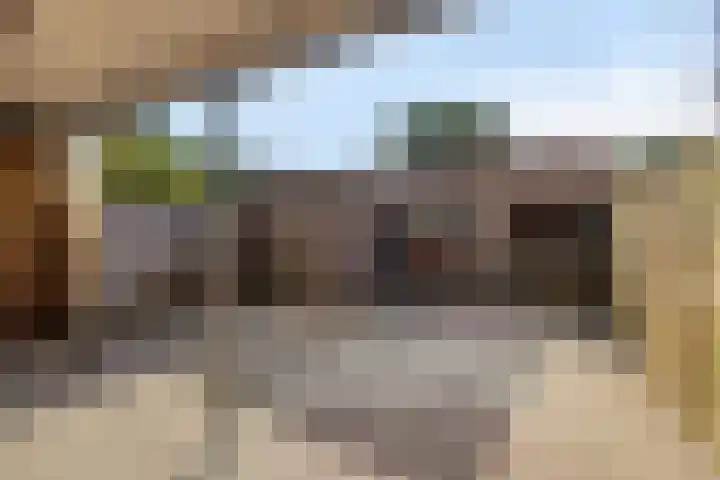 Hertog Eduardweg 3 't Harde thumbnail 31