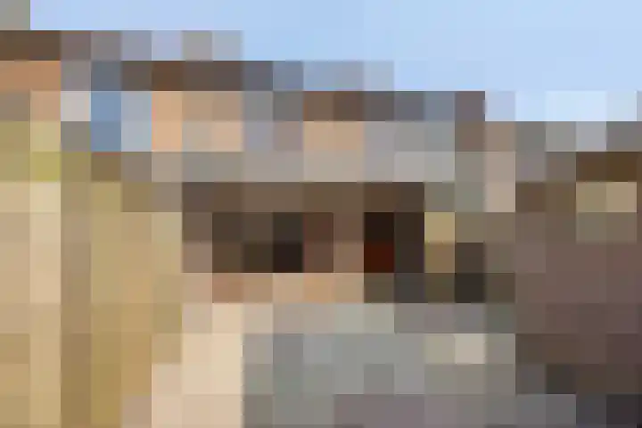 Hertog Eduardweg 3 't Harde thumbnail 32