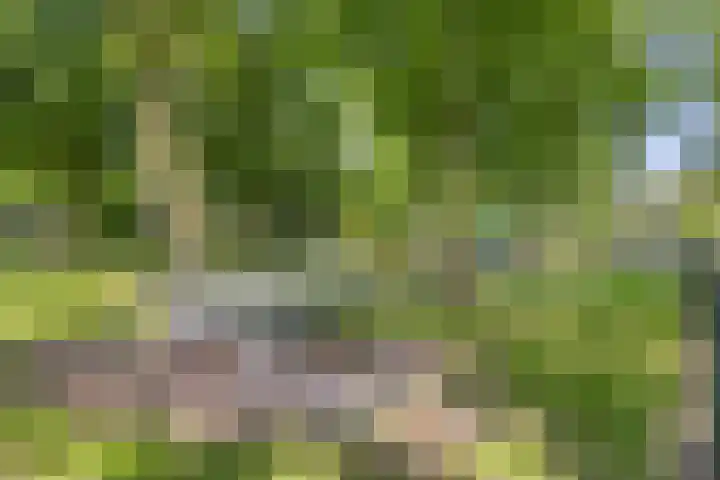 Hertog Eduardweg 3 't Harde thumbnail 36