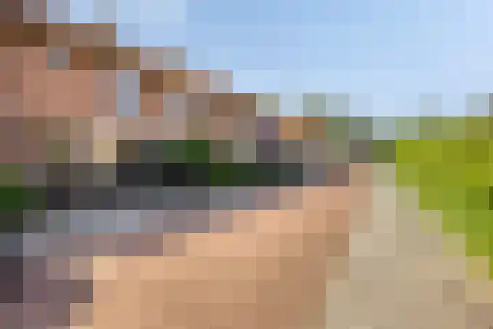 Hertog Eduardweg 3 't Harde thumbnail 6