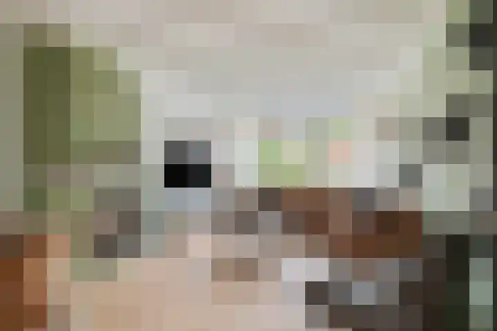 Hertog Eduardweg 7 't Harde thumbnail 11