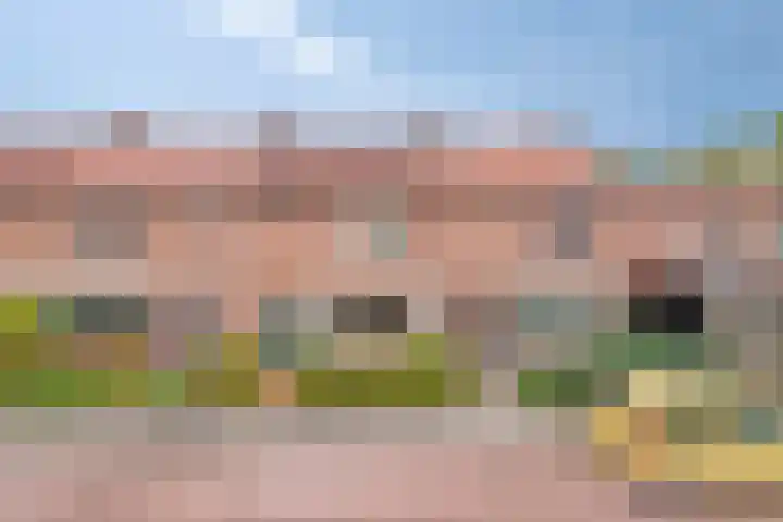 Hertog Eduardweg 7 't Harde thumbnail 4
