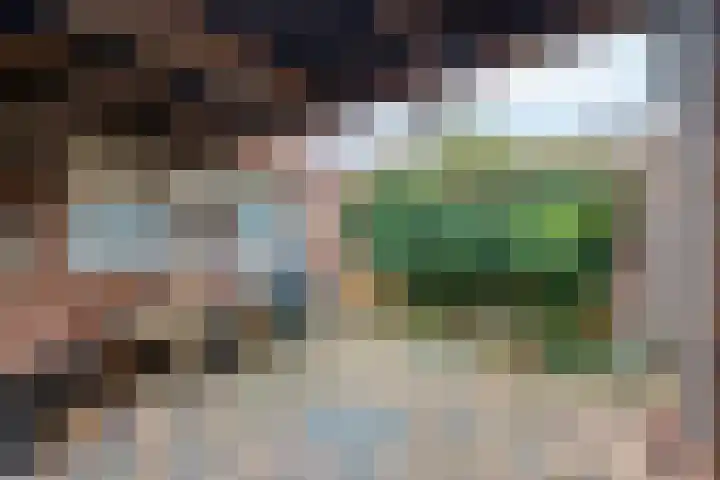 Hertog Eduardweg 7 't Harde thumbnail 41