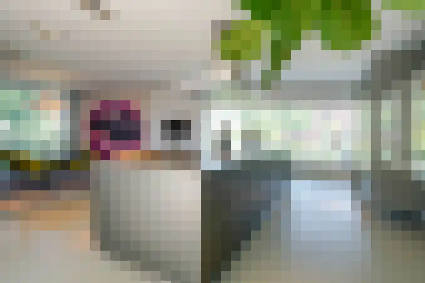 Hertog Filipslaan 10 Den Haag thumbnail 32