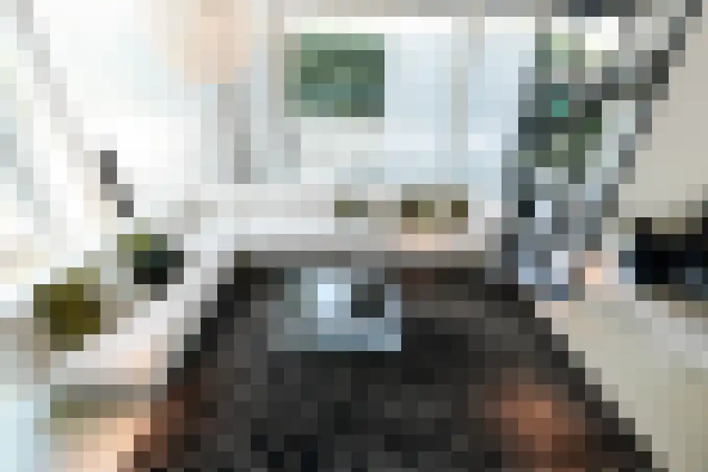 Hertog Filipslaan 10 Den Haag thumbnail 39