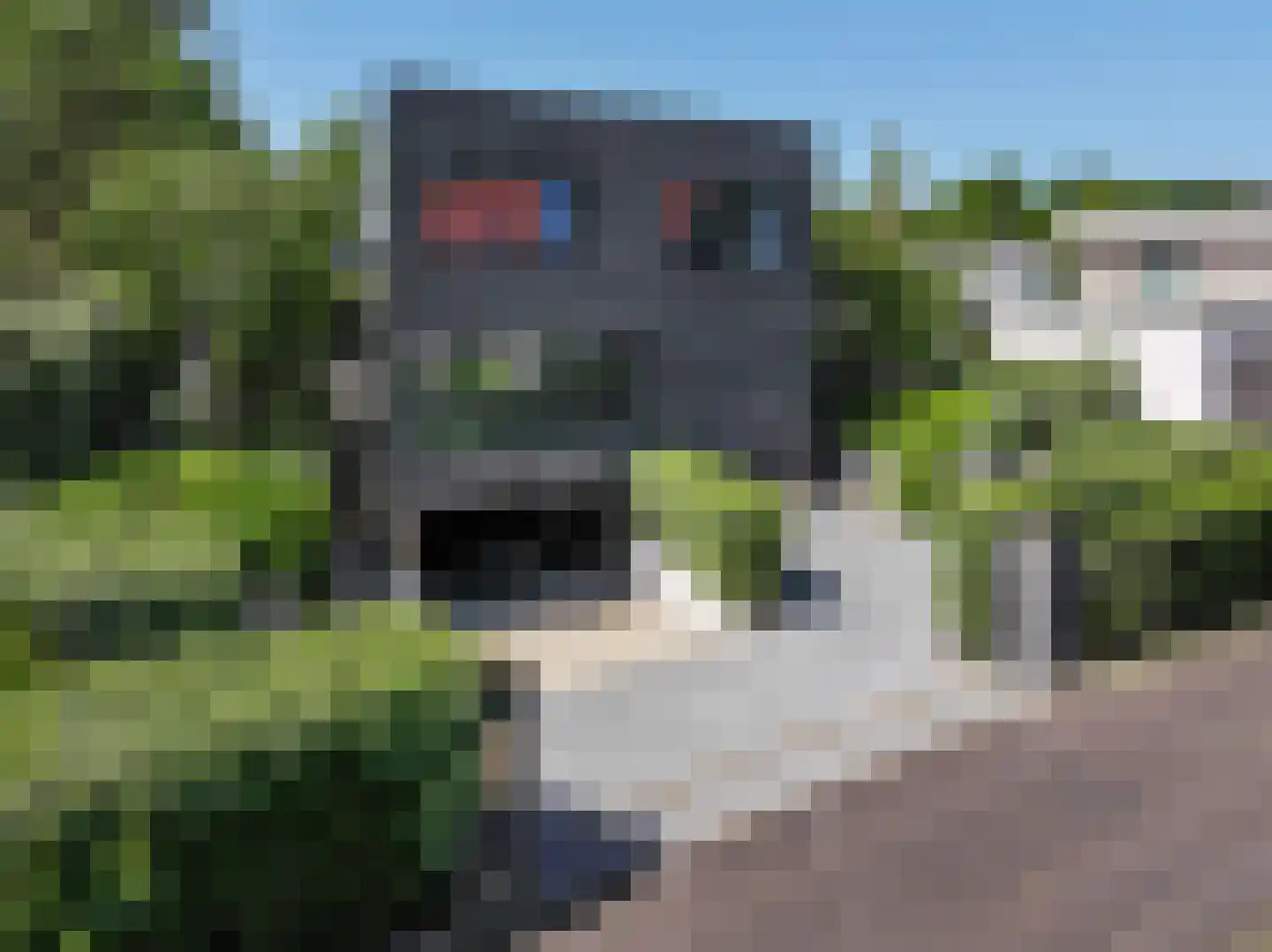 Hertog Filipslaan 10 Den Haag thumbnail 74