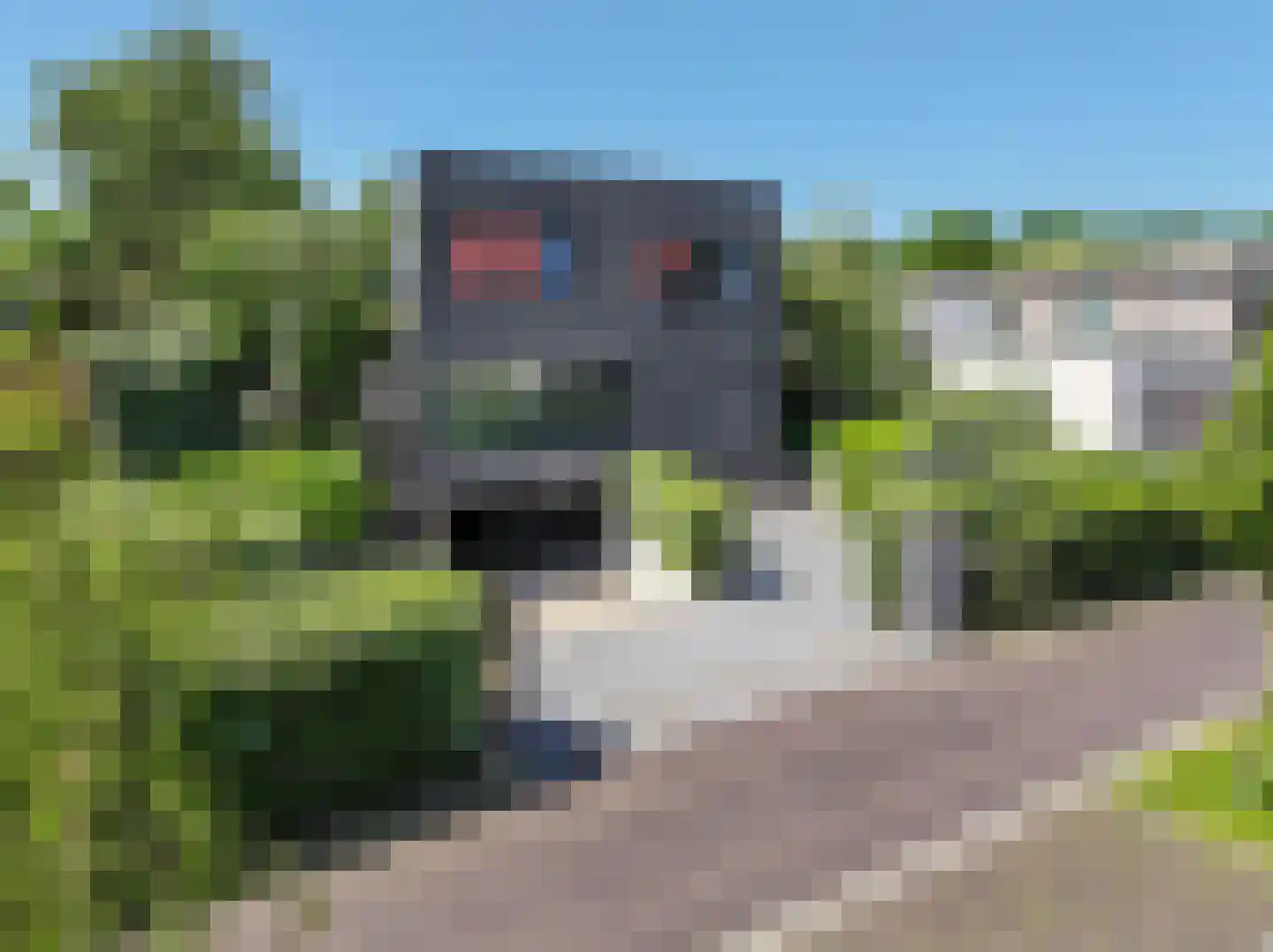 Hertog Filipslaan 10 Den Haag thumbnail 80