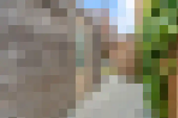 Hertog Godfriedstraat 16 's-Hertogenbosch thumbnail 19