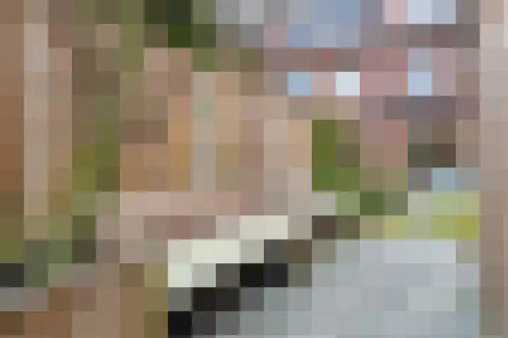 Hertog Godfriedstraat 16 's-Hertogenbosch thumbnail 20