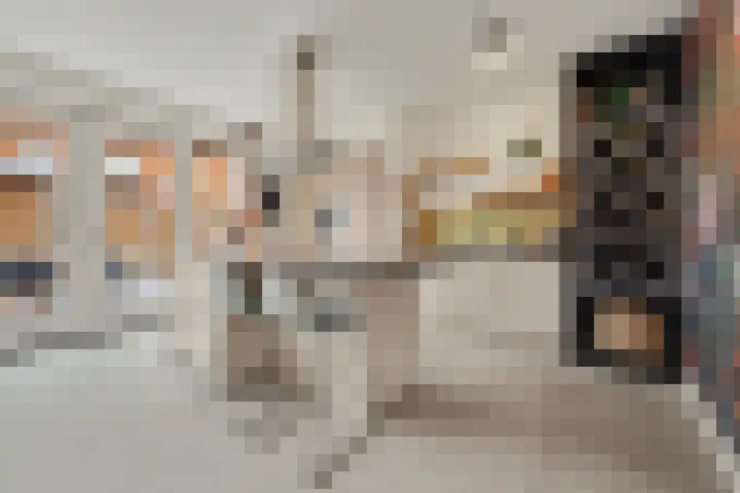 Hertog Godfriedstraat 30 's-Hertogenbosch thumbnail 15