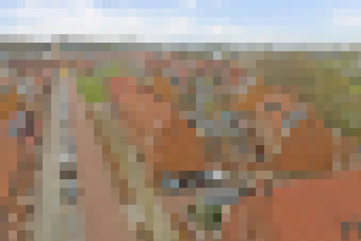 Hertog Godfriedstraat 30 's-Hertogenbosch thumbnail 52