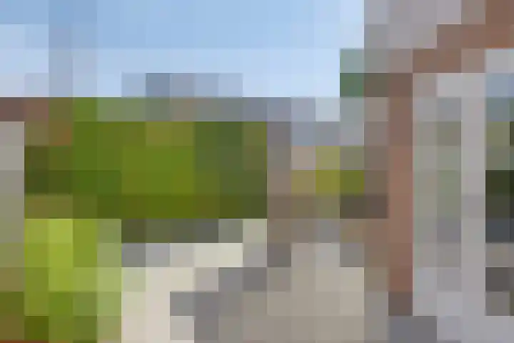 Hertog Godfriedstraat 57 's-Hertogenbosch thumbnail 36