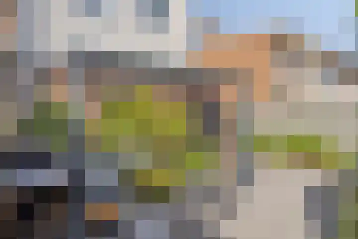 Hertog Godfriedstraat 57 's-Hertogenbosch thumbnail 38