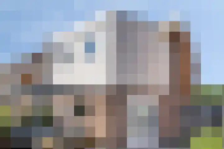 Hertog Godfriedstraat 57 's-Hertogenbosch thumbnail 40