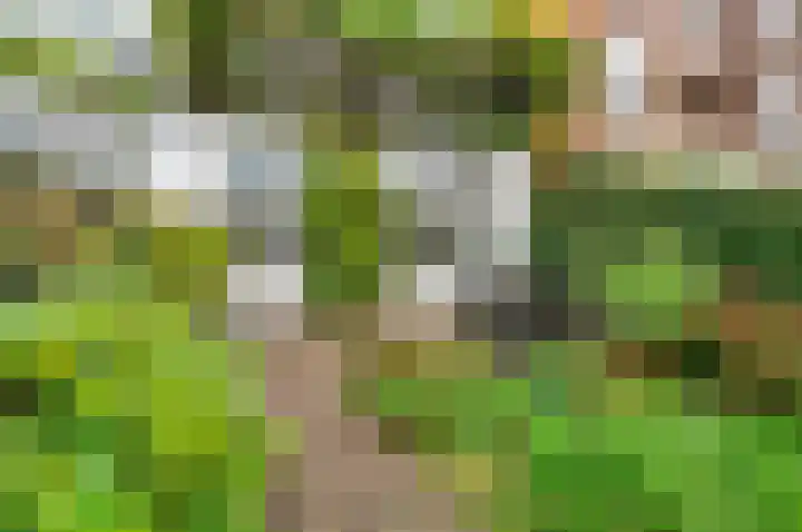Hertog Govertkade 12 Delft thumbnail 17