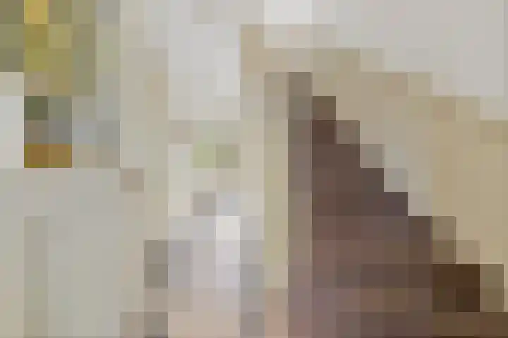 Hertog Govertkade 12 Delft thumbnail 6