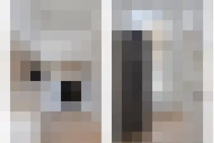 Hertog Govertkade 4 Delft thumbnail 18