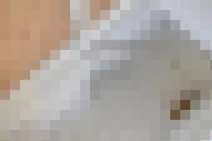 Hertog Govertkade 4 Delft thumbnail 20