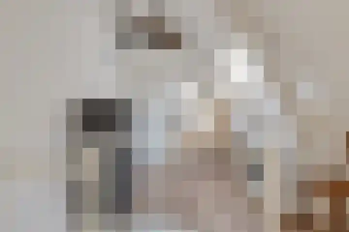 Hertog Govertkade 4 Delft thumbnail 22