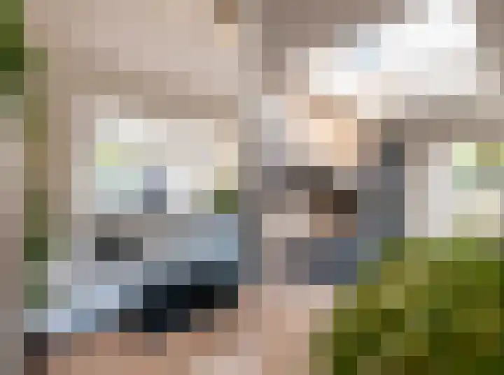 Hertog Hendrik I-straat 29 Oss thumbnail 10