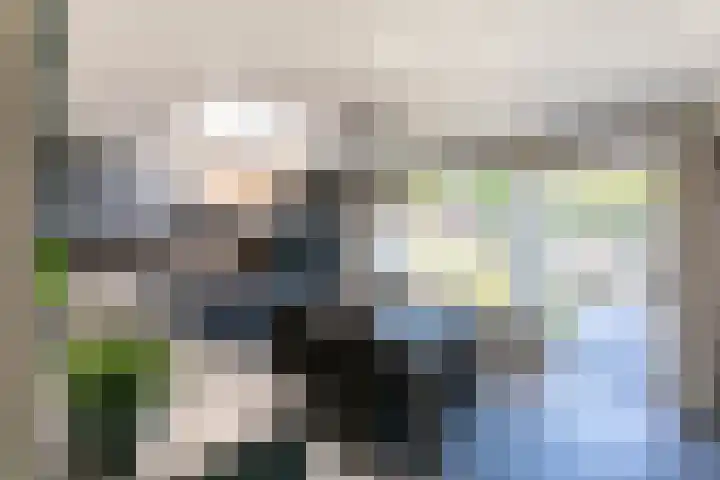 Hertog Hendrik I-straat 29 Oss thumbnail 11