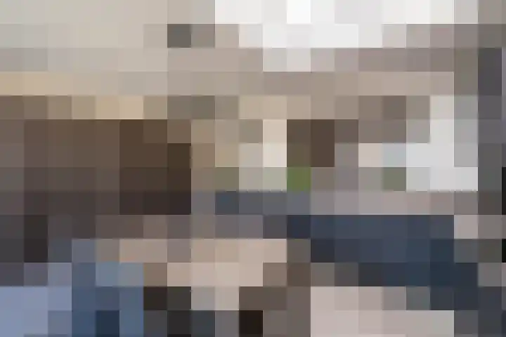 Hertog Hendrik I-straat 29 Oss thumbnail 12