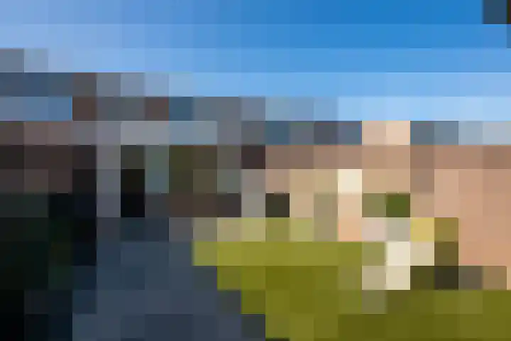 Hertog Hendrik I-straat 29 Oss thumbnail 22
