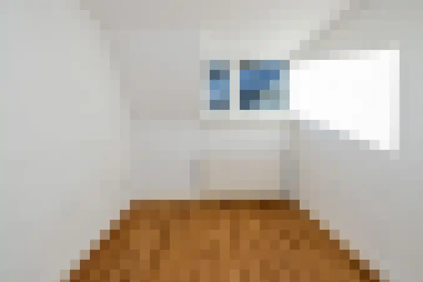 Hertog Hendrik van Brabantplein 14 A Eindhoven thumbnail 20