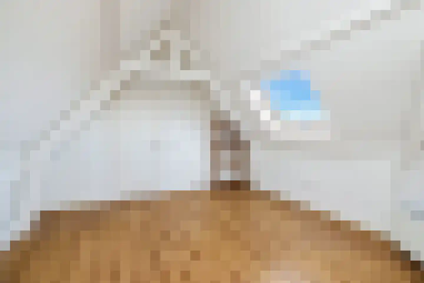 Hertog Hendrik van Brabantplein 14 A Eindhoven thumbnail 26